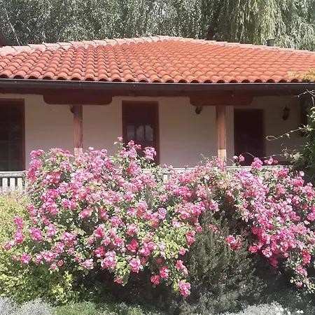 Vinogradi Apartment Valjevo