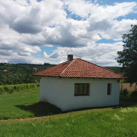 Vinogradi